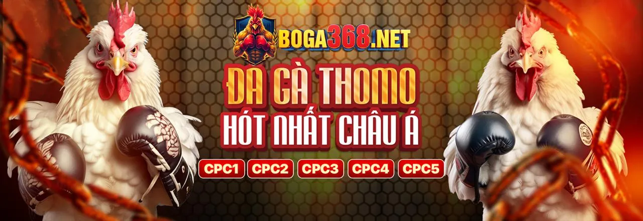 Ứng dụng 6ff2 nhà cái trên điện thoại