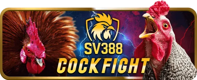 Hoàn trả cược thua 6ff2 nhà cái